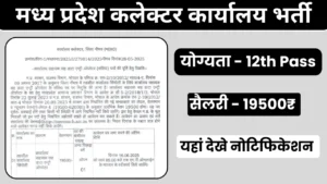 MP Collector Office Bharti